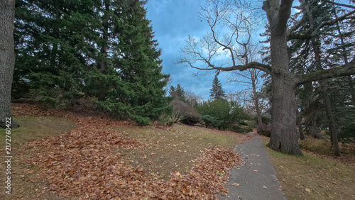 Photography Scenic autumn landscape view inside High Park in Toronto