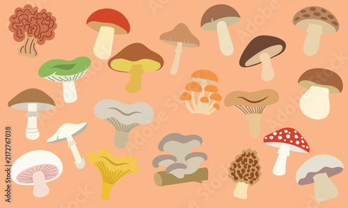 Autumn wild forest mushrooms collection vector illustration. Flat cartoon edible and poisonous fungi set isolated on beige background