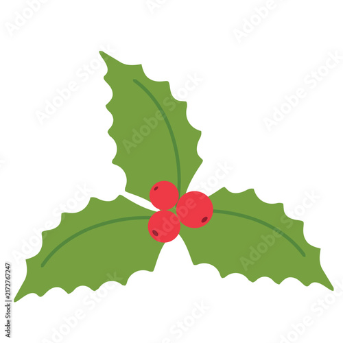 Holly leaves with red berries sprig vector illustration. Flat cartoon Christmas botanical element, winter holiday decoration isolated design element