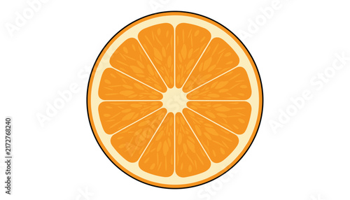Detailed top view vector illustration of a fresh juicy orange citrus fruit slice showing pulp segments and rind.