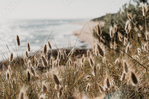 Tapety artystyczne Grass on the beach