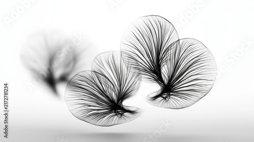 Minimalist abstract black and white organic floating shapes