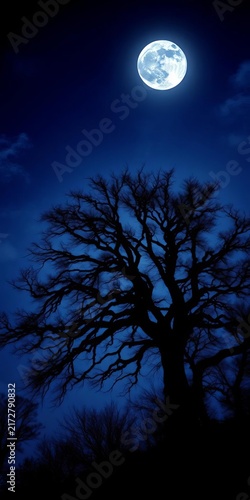 Full moon above silhouetted bare tree at night