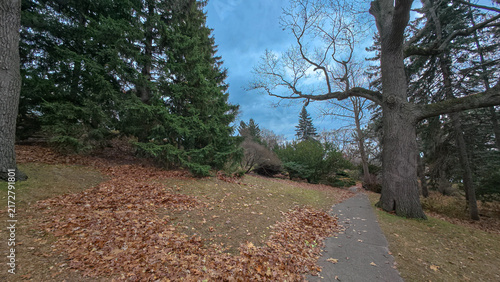 Photography Scenic autumn landscape view inside High Park in Toronto
