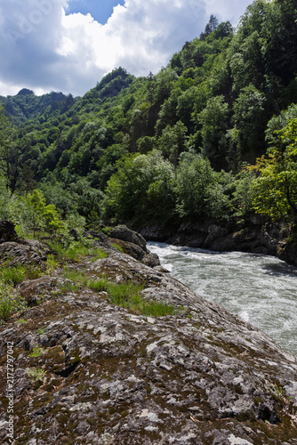 The riverbank zone in mountainous terrain, the rocky soil bordering the riverbed, with vegetation along the banks.