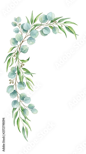 Watercolor eucalyptus branches with buds and leaves