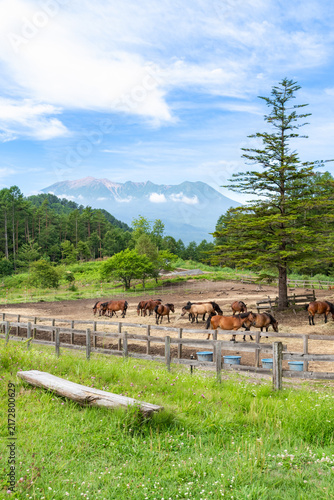 Plakat 木曽馬の牧場と御嶽山（長野県 開田高原）