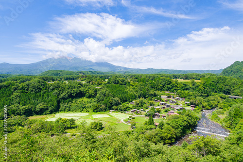 Plakat 柳又ビューポイントから望む御嶽山と白い花の咲く蕎麦畑（長野県木曽郡 開田高原）