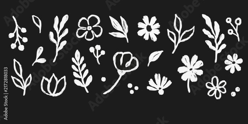 Brush flower leaf paint set. Hand drawn brush flower leaf floral stroke sketch plant doodle nature. Chalkboard blackboard botanical daisy poppy leaves herb summer background. Vector illustration 