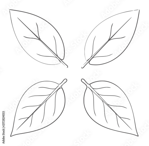 Four minimalist black and white leaf outlines leaves