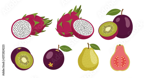 Colorful illustration of various exotic fruits on white background with vibrant illustration multiple fruits with dragon fruit