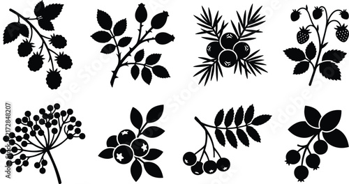 Wild Forest Berries Vector Silhouette Icons Set Isolated on White Background