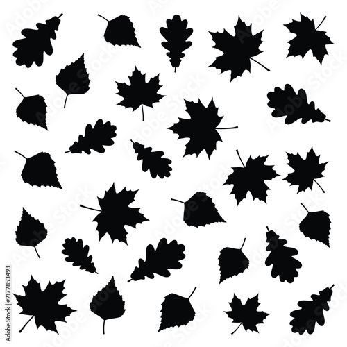 A set of black silhouettes featuring various autumn tree leaves isolated on a white background.