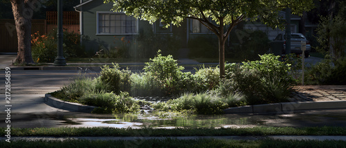 Residential street garden with lush plants, sunlight, and wet pavement creating calm suburban scene