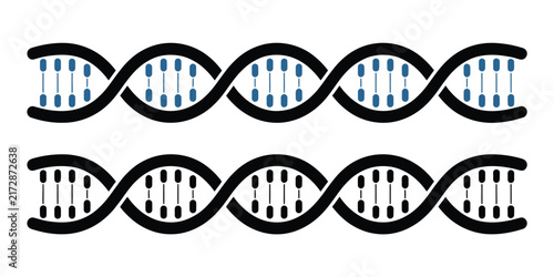 Photography DNA symbol vector, double helix line icon for genetics biotechnology laboratory
