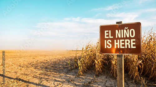 El Niño Warning Sign in Dry Cracked Agricultural Cornfield During Extreme Drought. Climate Change Impact Concept Showing El Niño Is Here Sign Over Parched Farmland.