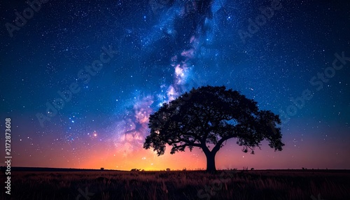 Sunrise and Sunset Over Mountain Landscape with Tree Silhouettes, Colorful Sky, Clouds, Sun, Moon and Stars at Dawn and Dusk