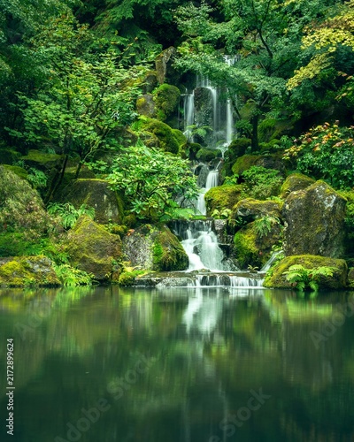 waterfall in the forest