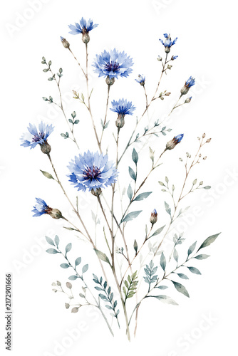 Artistic rendering of delicate azure cornflower blooms gracing slender stems evoking a serene meadow landscape; a captivating botanical artwork perfect for floral design projects and naturalistic them