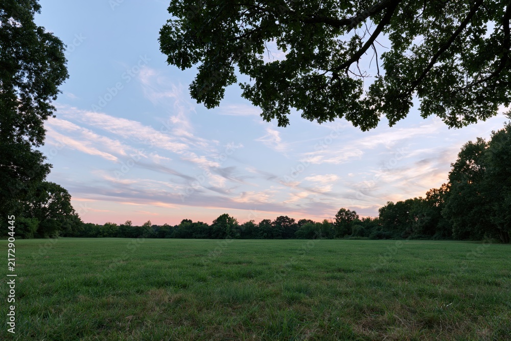 Naklejka premium The Meadow at Sunset Over a Spacious Green Park Landscape