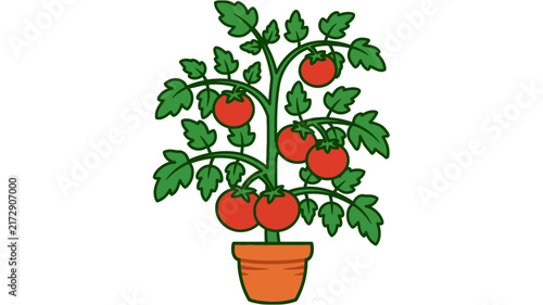 Cartoon illustration of a tomato plant with ripe red tomatoes growing in a pot