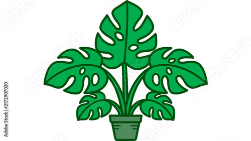 Green Monstera Deliciosa Houseplant in a Potted Ceramic Container Illustration