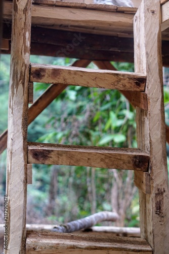 Close-up view of a handcrafted wooden ladder leading up to a treehouse platform in a forest area.