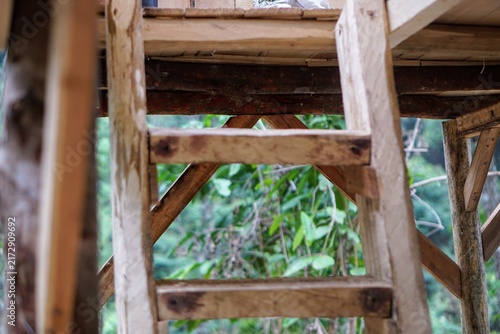 Close-up view of a handcrafted wooden ladder leading up to a treehouse platform in a forest area.