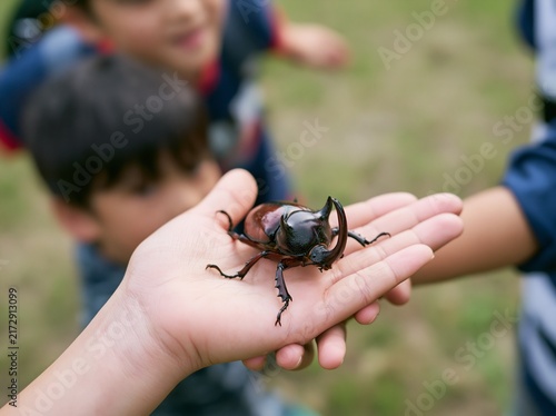 Obraz w ramie 手のひらの上に大きなカブトムシを乗せて観察する男の子