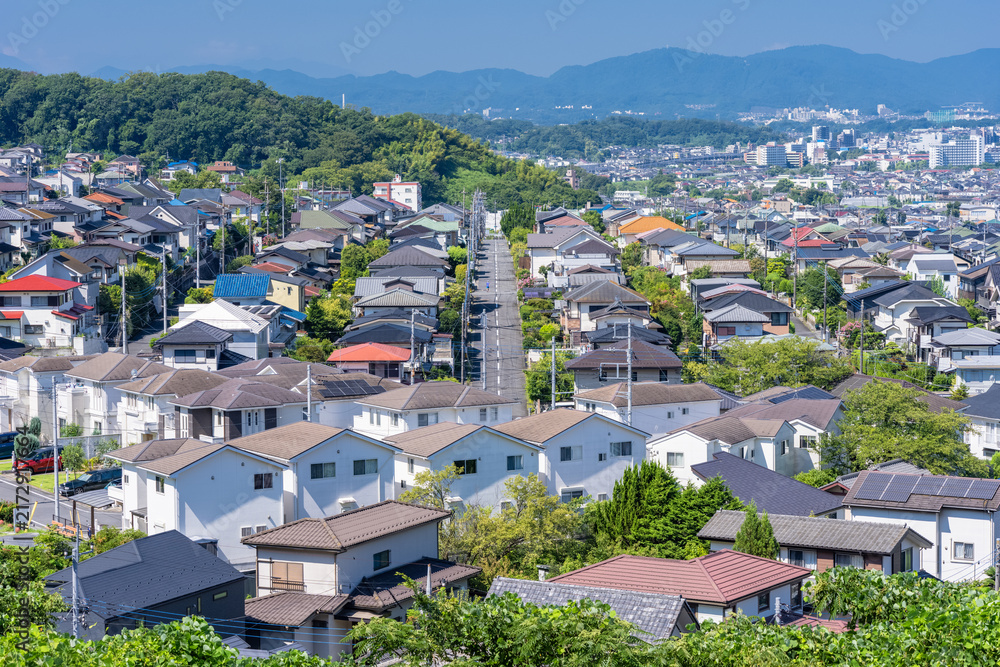 Fototapeta premium 東京都日野市の高台から見下ろす郊外の住宅街 