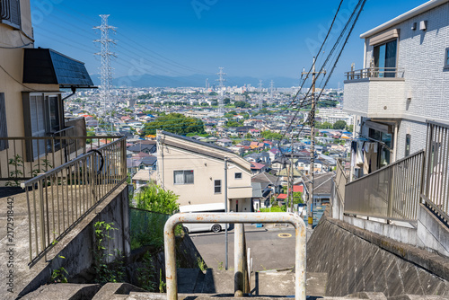 東京都日野市の高台から見下ろす広大な住宅街と送電鉄塔
