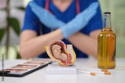 Bild auf Leinwand A close-up of a fetal model presented by a medical professional in a clean, modern setting, with alcohol and cigarettes nearby, emphasizing public health awareness and health education