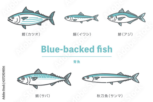 青魚5種のセットイラスト