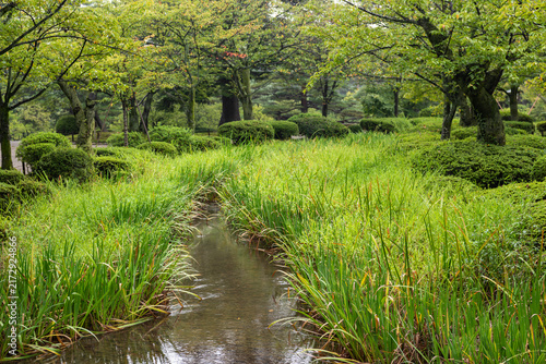 緑のある風景
