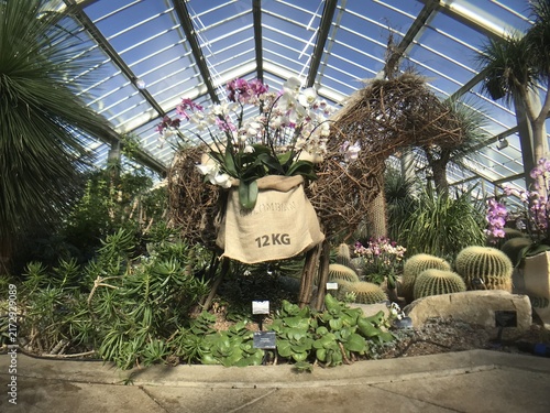 Canvas Print Tropical plant display inside a greenhouse conservatory