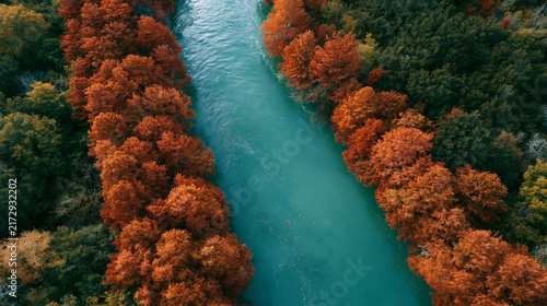A Beautiful autumn