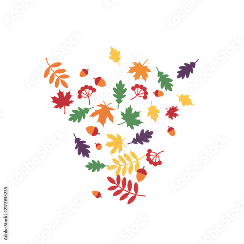 Scattered autumn leaves and acorns in a triangular pattern