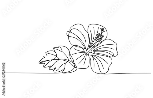 Continuous single line drawing of a hibiscus flower with leaves Vector, illustration