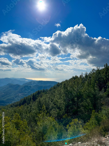Scenic high angle view of green pine forest mountains and sea coastline under a blue sky with fluffy white clouds