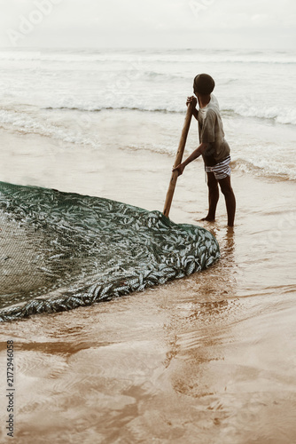 Принти на полотні A fisherman stops his net full of sardines from escaping