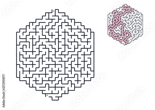 Quadro su tela Hexagon Maze Puzzle Game for Kids and Adults, Challenging Labyrinth Activity, Br