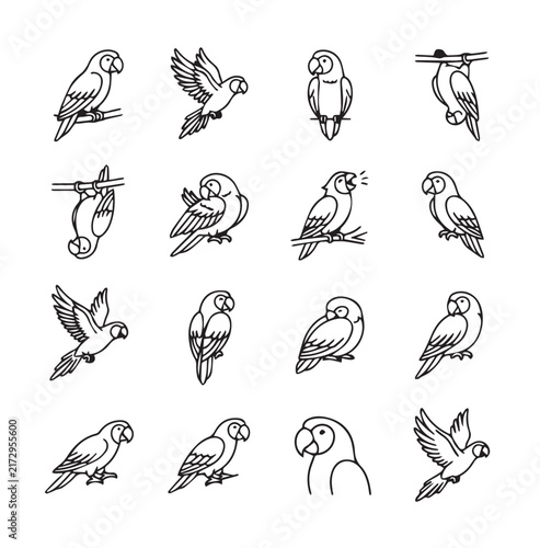 Adorable hand drawn parrots in various whimsical poses on branches and perches in simple line art style