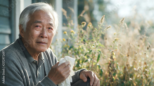 Hay fever or pollen allergy, older Asian-American man sitting on porch, blurry ragweed leaves, watery red eyes, copy space on pills and immune system support for pollen reaction
