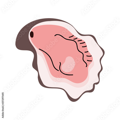 Cute flat illustration of an open pink oyster shell with flesh isolated on white background for seafood menu design and packaging
