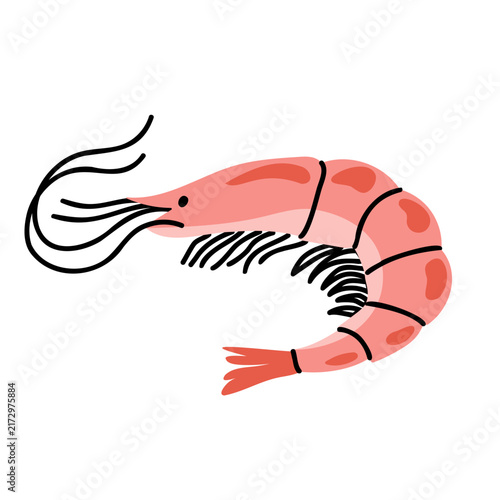 Cute flat illustration of a whole pink cooked shrimp prawn isolated on white background for seafood menu design and culinary packaging