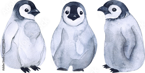 three penguins isolated on transparent background