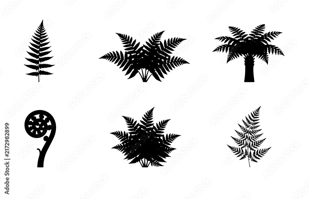 Obraz premium 70 Black Fern Silhouettes Collection, Tropical Foliage Vector Icons, Botanical Plant Graphics, Nature Elements for Design 100