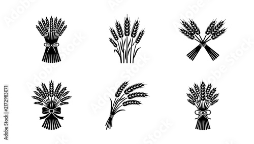 Bild auf Leinwand 70 Wheat Stalk Icons, Grain Harvest Vector Set, Agricultural Crop Emblems, Organ