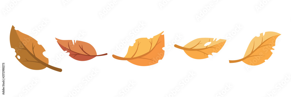 Fototapeta premium Autumn Falling Leaves Vector Clipart Set with Natural Cutouts