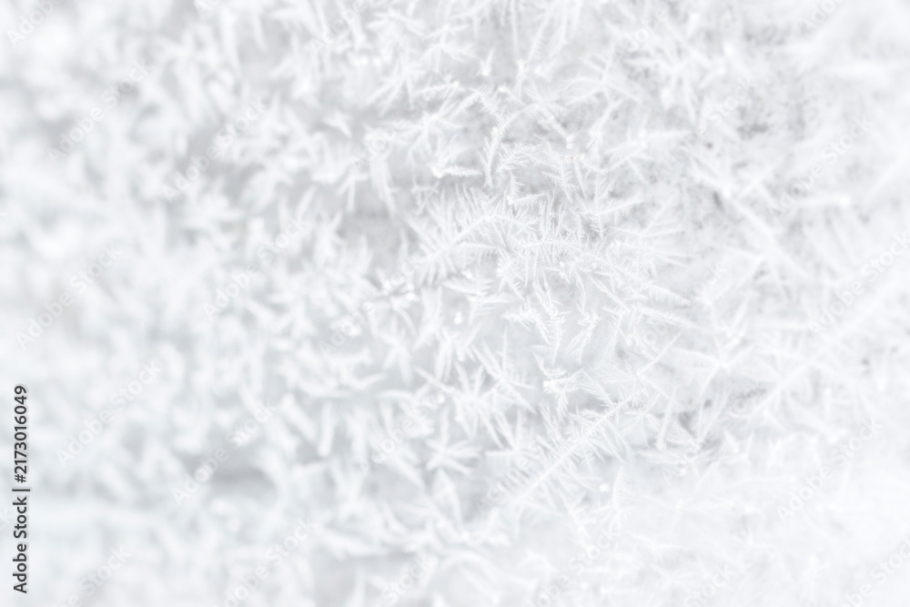 Naklejka premium Frosty white tree branches background